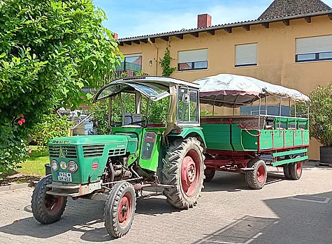 Planwagenfahrten mit Uwe Kleemann, Gimbsheim, Rheinhessen Planwagenfahrten mit Uwe Kleemann, Gimbsheim, Rheinhessen